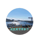 春Photo（個別スタンプ：21）