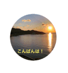春Photo（個別スタンプ：26）