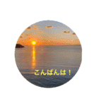 春Photo（個別スタンプ：27）