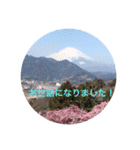 春Photo（個別スタンプ：32）