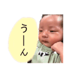 hirotototo（個別スタンプ：1）