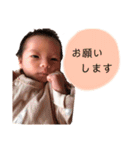 hirotototo（個別スタンプ：4）