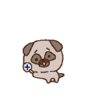 パグのパヌ。（個別スタンプ：6）