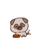 パグのパヌ。（個別スタンプ：11）