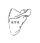 骨BONE（個別スタンプ：9）