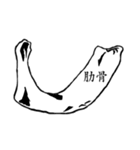 骨BONE（個別スタンプ：11）