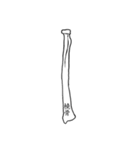 骨BONE（個別スタンプ：13）