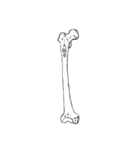骨BONE（個別スタンプ：20）