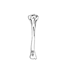 骨BONE（個別スタンプ：22）