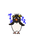 基本こっち見てるペンギン（個別スタンプ：1）