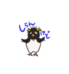 基本こっち見てるペンギン（個別スタンプ：2）
