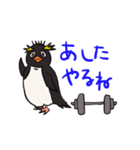基本こっち見てるペンギン（個別スタンプ：7）
