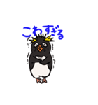 基本こっち見てるペンギン（個別スタンプ：10）