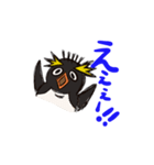 基本こっち見てるペンギン（個別スタンプ：11）