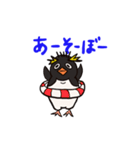 基本こっち見てるペンギン（個別スタンプ：12）