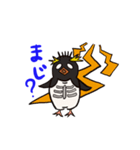 基本こっち見てるペンギン（個別スタンプ：16）