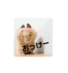 じゃが太郎＆ちゃら太郎（個別スタンプ：3）