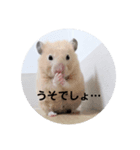 じゃが太郎＆ちゃら太郎（個別スタンプ：4）