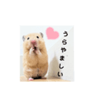 じゃが太郎＆ちゃら太郎（個別スタンプ：5）