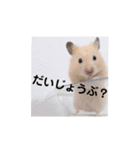 じゃが太郎＆ちゃら太郎（個別スタンプ：6）