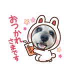スタンプ ノアール君4（個別スタンプ：6）