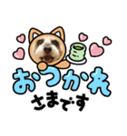 スタンプ ノアール君4（個別スタンプ：12）