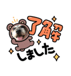 スタンプ ノアール君4（個別スタンプ：13）