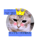 ガッシーねこーず40にゃんシリーズ㉒（個別スタンプ：15）