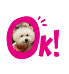 ピケその5（個別スタンプ：2）
