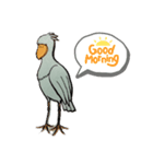 ハシビロコウのピロリン♪(shoebill)（個別スタンプ：9）