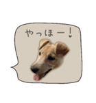 ふきだしスタンプ きなこのまいにち（個別スタンプ：16）