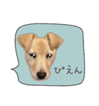 ふきだしスタンプ きなこのまいにち（個別スタンプ：18）