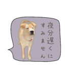 ふきだしスタンプ きなこのまいにち（個別スタンプ：22）