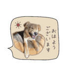 ふきだしスタンプ きなこのまいにち（個別スタンプ：38）