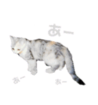 犬猫のデカ文字で見やすい敬語多めスタンプ（個別スタンプ：6）