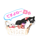 犬猫のデカ文字で見やすい敬語多めスタンプ（個別スタンプ：11）