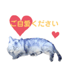 犬猫のデカ文字で見やすい敬語多めスタンプ（個別スタンプ：25）