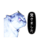 犬猫のデカ文字で見やすい敬語多めスタンプ（個別スタンプ：28）