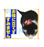 犬猫のデカ文字で見やすい敬語多めスタンプ（個別スタンプ：29）