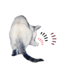犬猫のデカ文字で見やすい敬語多めスタンプ（個別スタンプ：38）