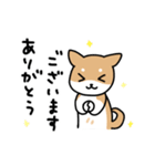 柴犬とポメ(敬語)（個別スタンプ：5）