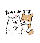 柴犬とポメ(敬語)（個別スタンプ：8）