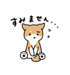 柴犬とポメ(敬語)（個別スタンプ：9）