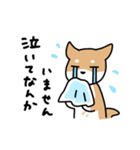 柴犬とポメ(敬語)（個別スタンプ：14）