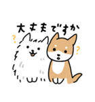 柴犬とポメ(敬語)（個別スタンプ：15）