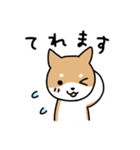 柴犬とポメ(敬語)（個別スタンプ：19）