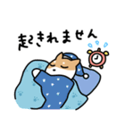 柴犬とポメ(敬語)（個別スタンプ：24）