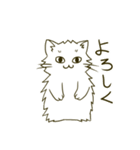 モフっと猫さん（個別スタンプ：1）