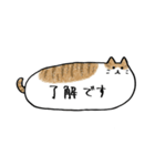 ふきだしみたいなねこ(敬語)（個別スタンプ：1）