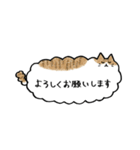 ふきだしみたいなねこ(敬語)（個別スタンプ：13）
